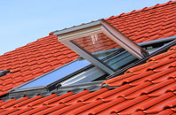Saltney roof window